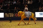 Quadrille - 00512